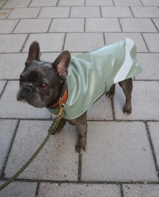 Dog Raincoat Opal^STUTTERHEIM Shop